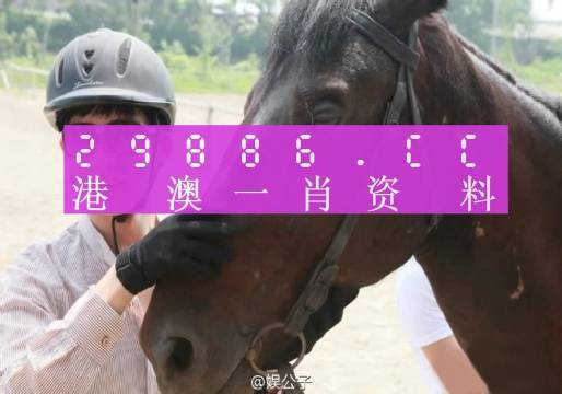 澳门必中一肖一码100精准上|内容释义解释落实 0.994403249