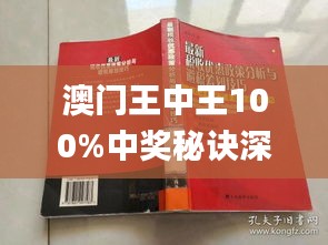 澳门王中王100期期中一期林，内容释义、解释与落实的深度探讨