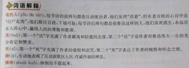 新澳门今晚开奖结果解析，开奖记录的词语释义与解释落实