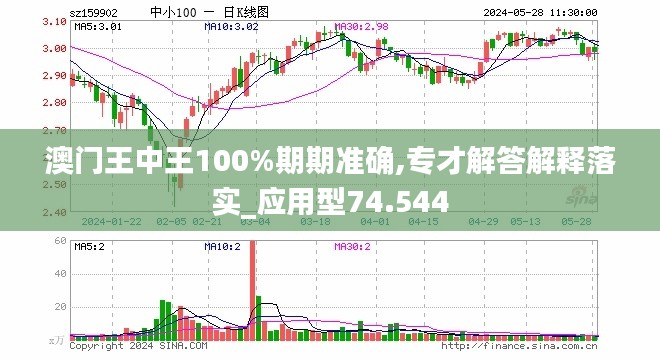 澳门王中王与信息准确性的探讨