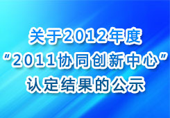 新澳精准资料，词语释义、解释与落实的深度探索