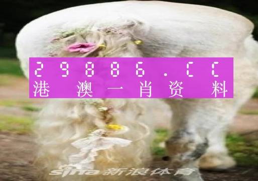 2024年12月 第706页