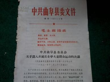 新奥新澳门正版资料解析与词语释义的深入探讨