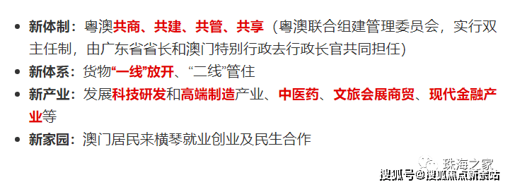 新奥门资料免费公开，全面解读与实施策略