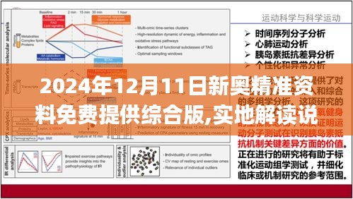 2024年新奥天天免费资料第53期解析与落实