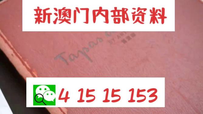 探索2024新澳门正版资料大全，精准释义与实施细节