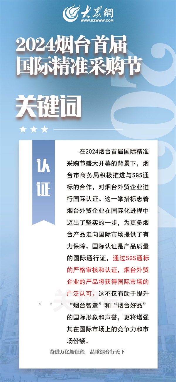 2024年免费精准资料，词语释义、解释与落实的深度探讨