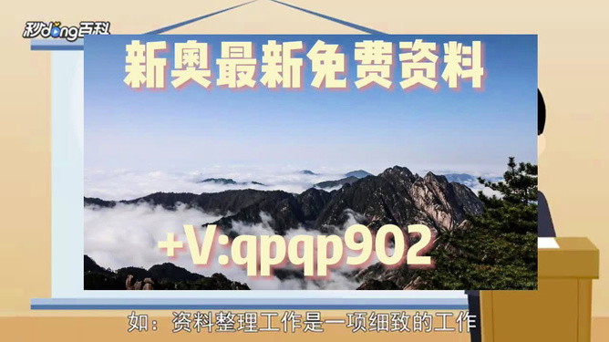 2024年新奥正版资料免费大全，内容释义、解释与落实的深度探讨