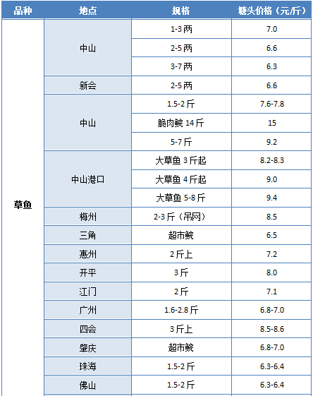 广东地方债券有限公司，地方金融的领航者