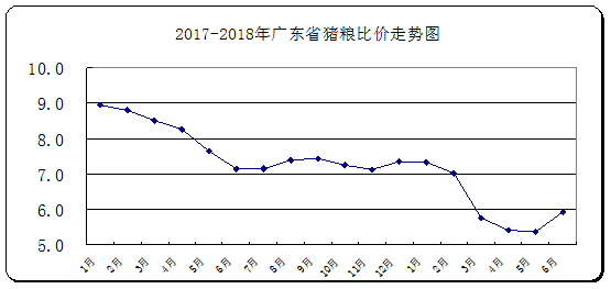 广东省全省今日猪肉价格分析