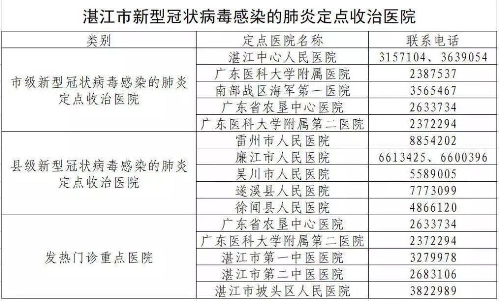 广东省湛江市新型肺炎疫情人数分析报告