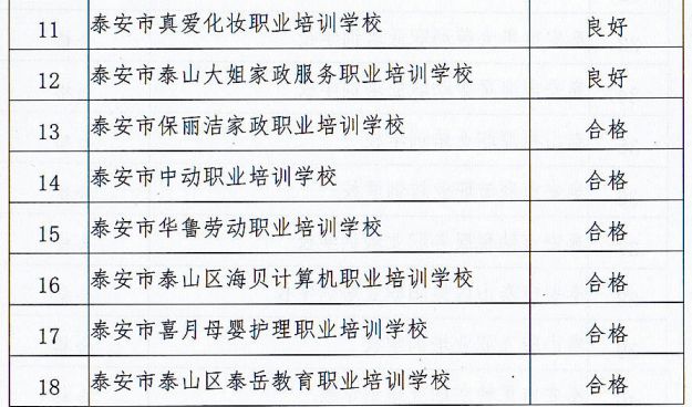 广东泰有限公司，引领行业发展的先锋