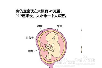 五个月宝宝频繁揉耳朵，原因与应对策略