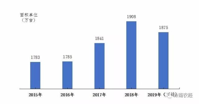 广东省涉农贷款规模，现状、影响与未来展望