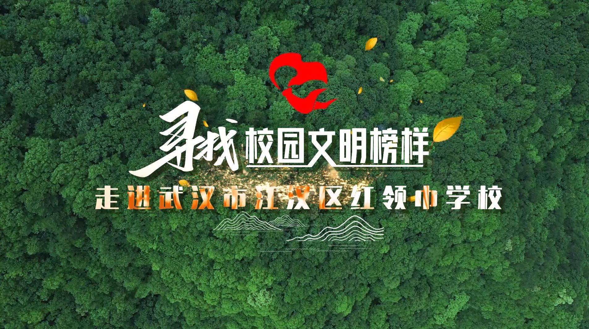 广东省博约不到，探索其背后的原因与影响