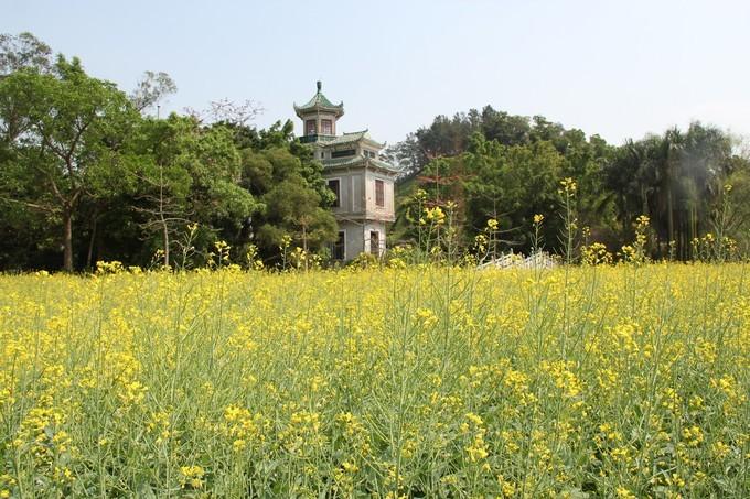 广东省医保特殊门诊政策解读