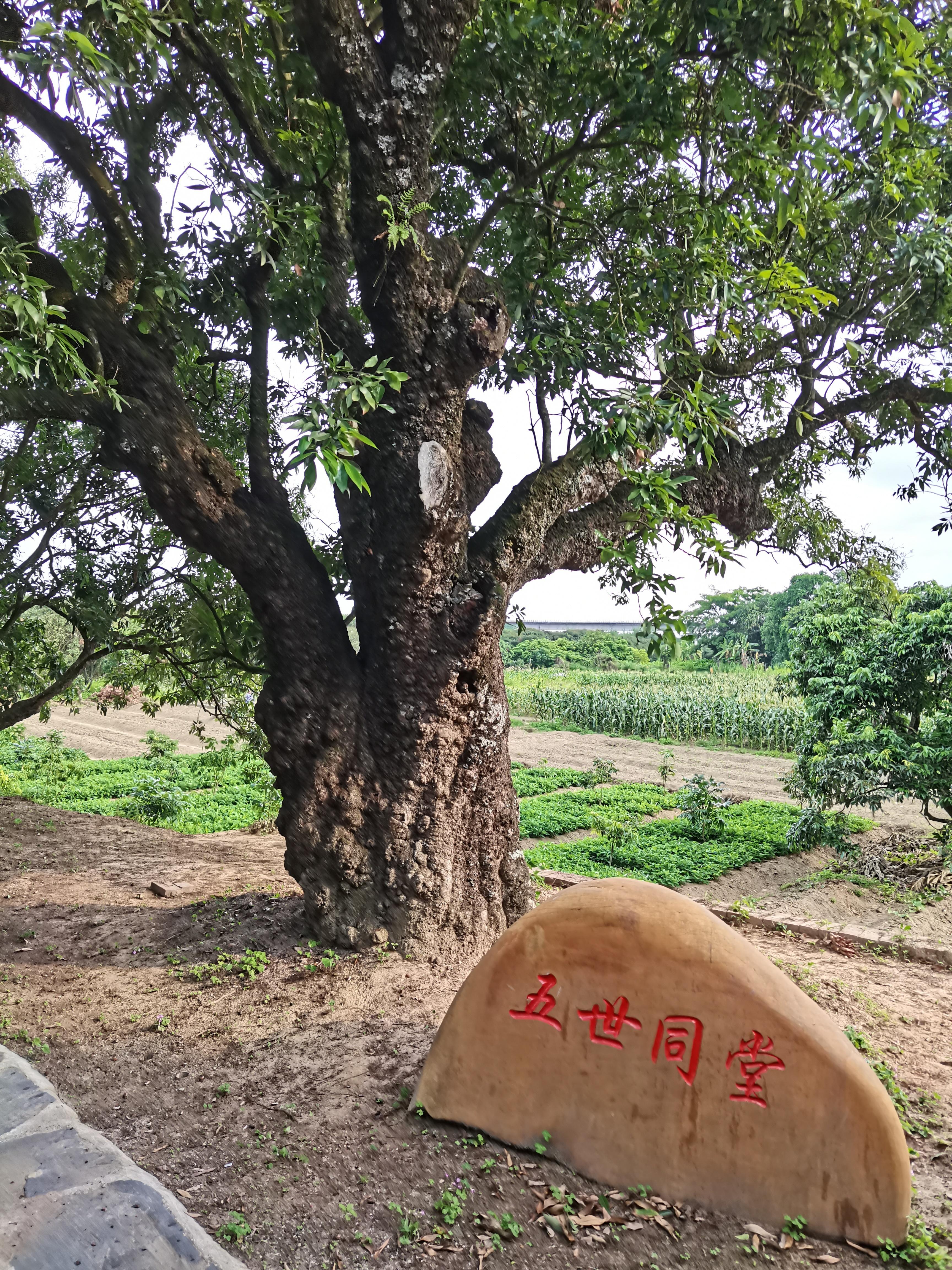 广东省跨经度的地理特征与文化影响