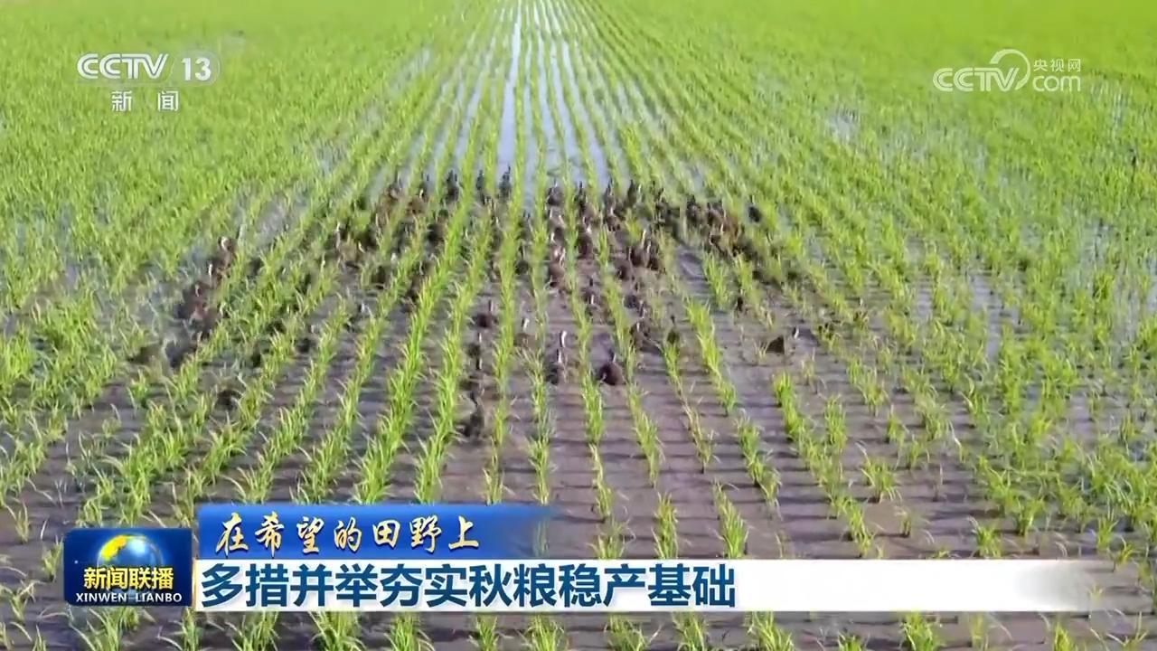 广东省燕麦种植面积的探索与展望