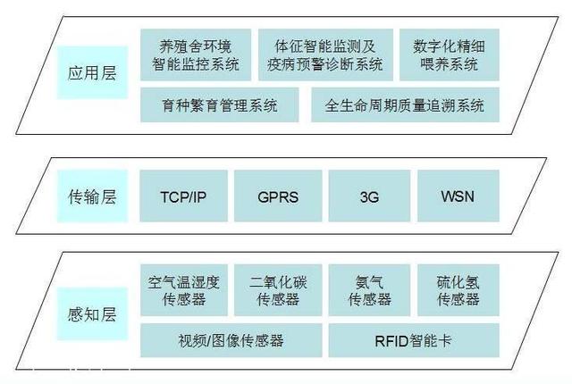 广东省特种设备系统，安全、高效、智能的现代化管理