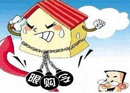 房产赠与限购政策下的市场影响与应对策略