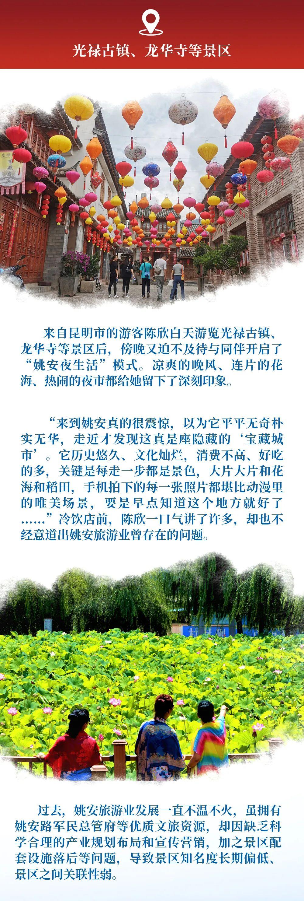 广东楚牌药业有限公司，医药行业的璀璨明珠