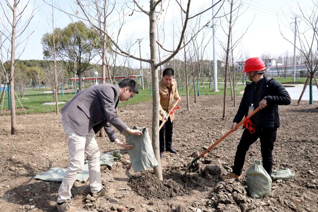 广东省公路养护招标，引领行业新篇章