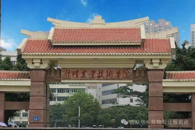 广东省专科学院的探索与专B教育的独特价值