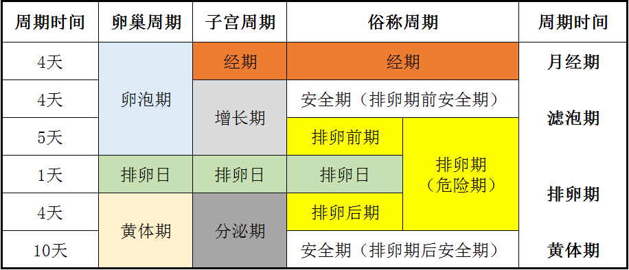 揭秘女性生理周期，女人每个月的排卵期是哪几天？