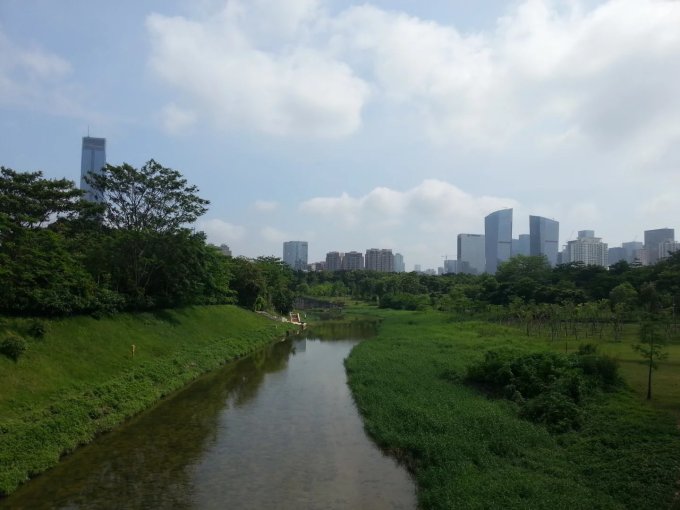 广东省深圳喷雾造景，现代城市中的自然奇观