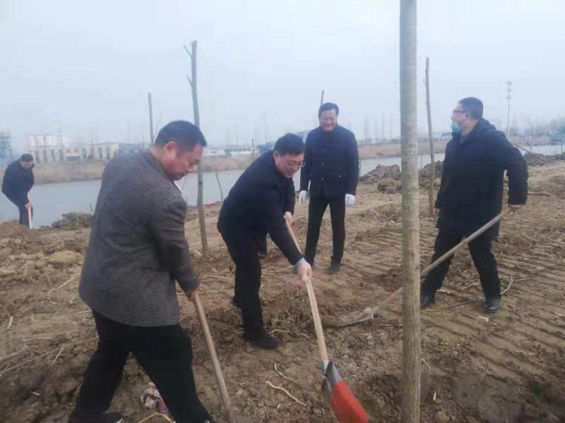 江苏科技项目网站建设，引领科技发展，助力项目落地