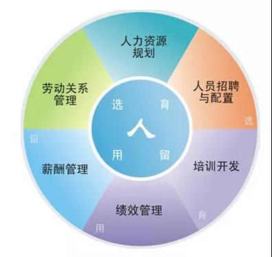 广东日结人力有限公司，助力人力资源高效配置的先锋