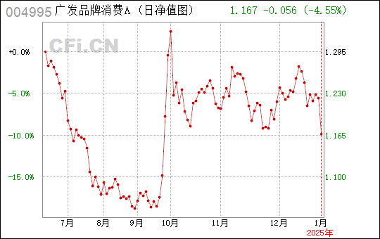 广东玖宏有限公司，引领行业发展的先锋