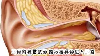 五个月宝宝耳屎图，关于宝宝耳部健康的小知识