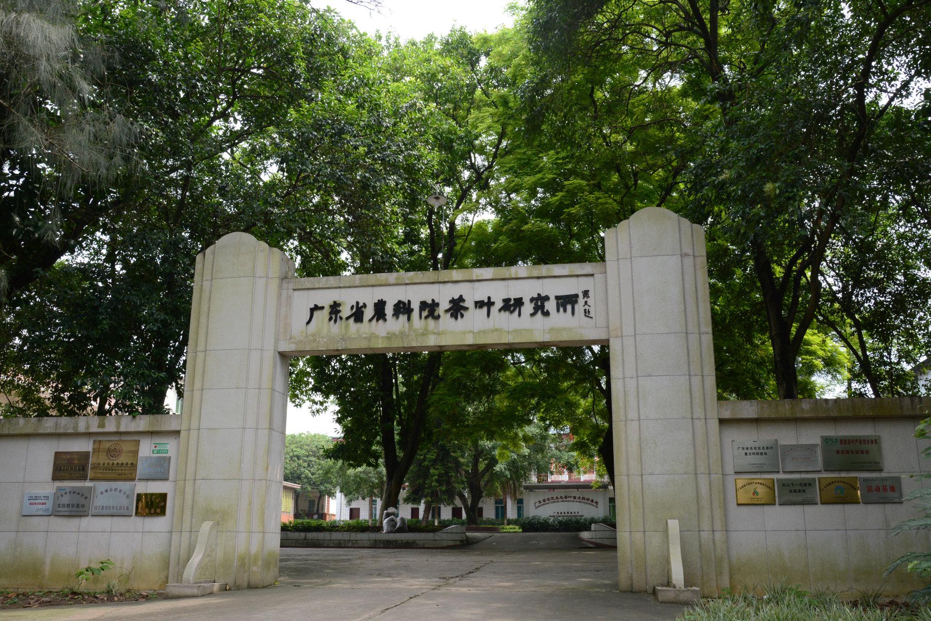 广东省农业科学院待遇深度解析