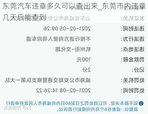 广东省东莞市违章查询，便捷途径与注意事项