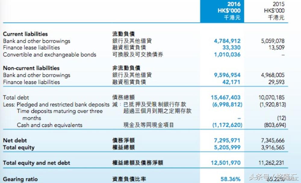 广东嘉禾控股有限公司，引领行业发展的先锋