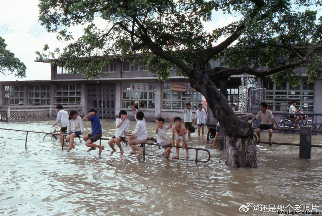 1981年广东省洪水，历史记忆中的灾难与重建