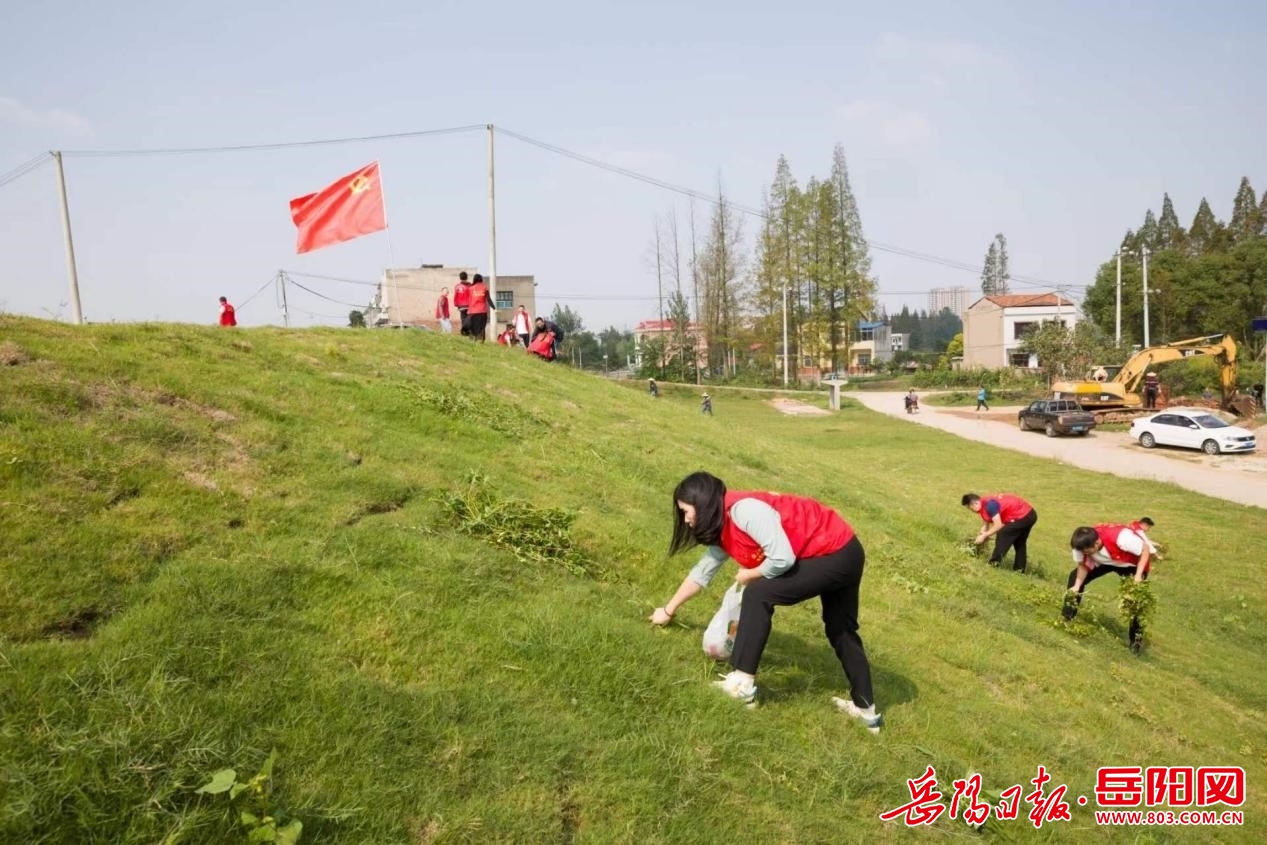 江苏康伏特环境科技，引领绿色科技，守护美好家园