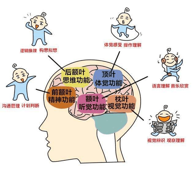 探索2个月宝宝心跳正常值，健康成长的秘密