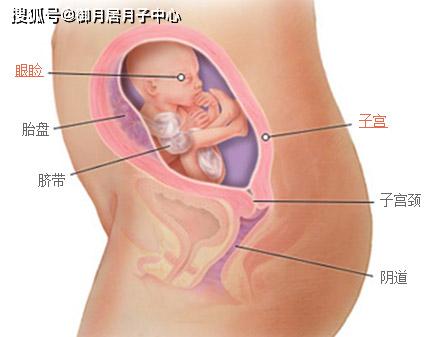 21周，揭示怀孕周期中的月份奥秘