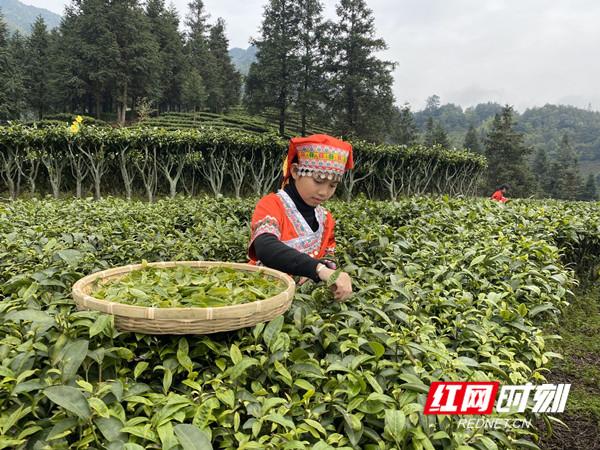 江苏宝贝云信息科技，引领未来科技潮流的探索之旅