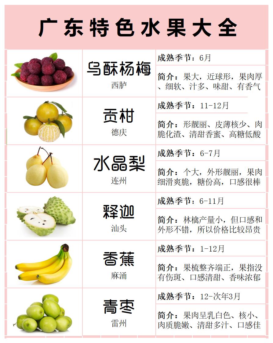 广东省最大的水果基地——探索绿色生态的果实世界