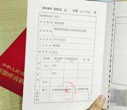 开发商无法办理房产证，业主的权益与挑战