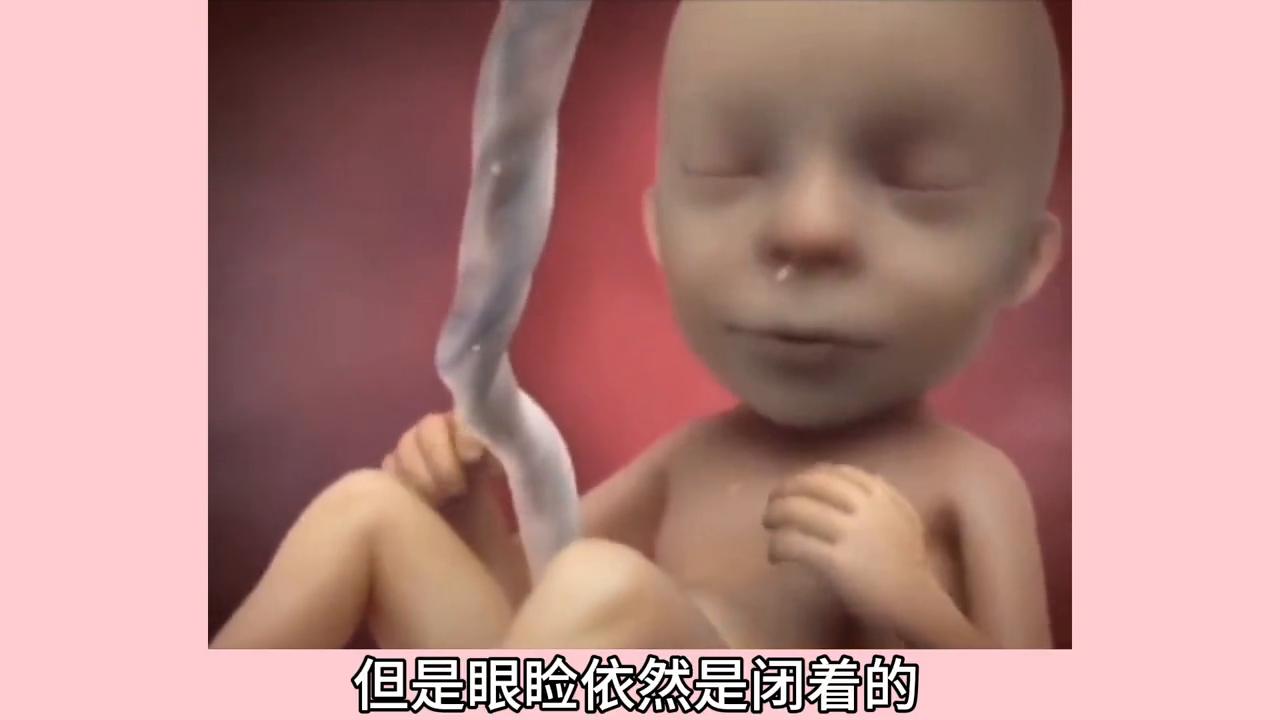 孕三个月是否会有胎动？