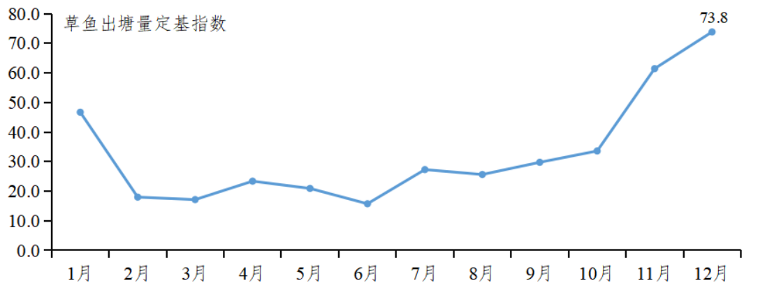 广东省大头鱼价格，市场动态与消费趋势