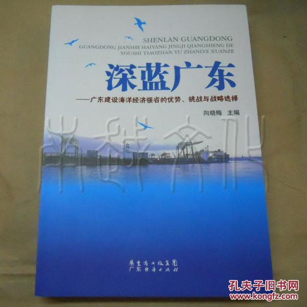 广东省恢复经济，策略、挑战与展望