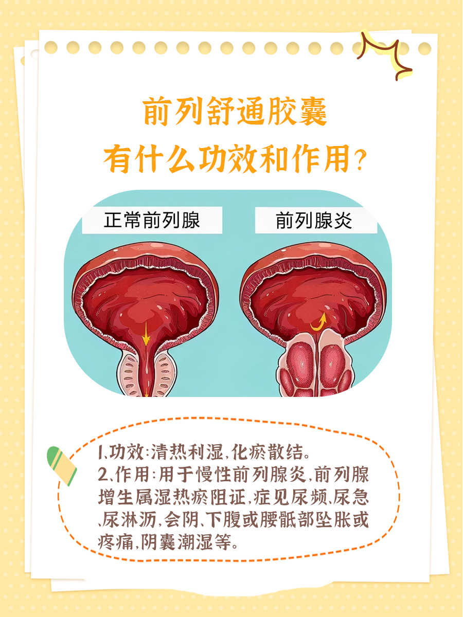 吃了三个月前列舒通胶囊的体验与感悟