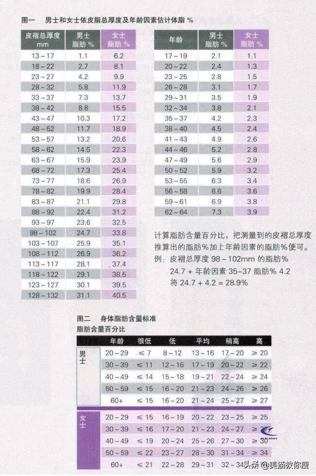 一个月瘦身方法，高效、科学、可行的减肥计划