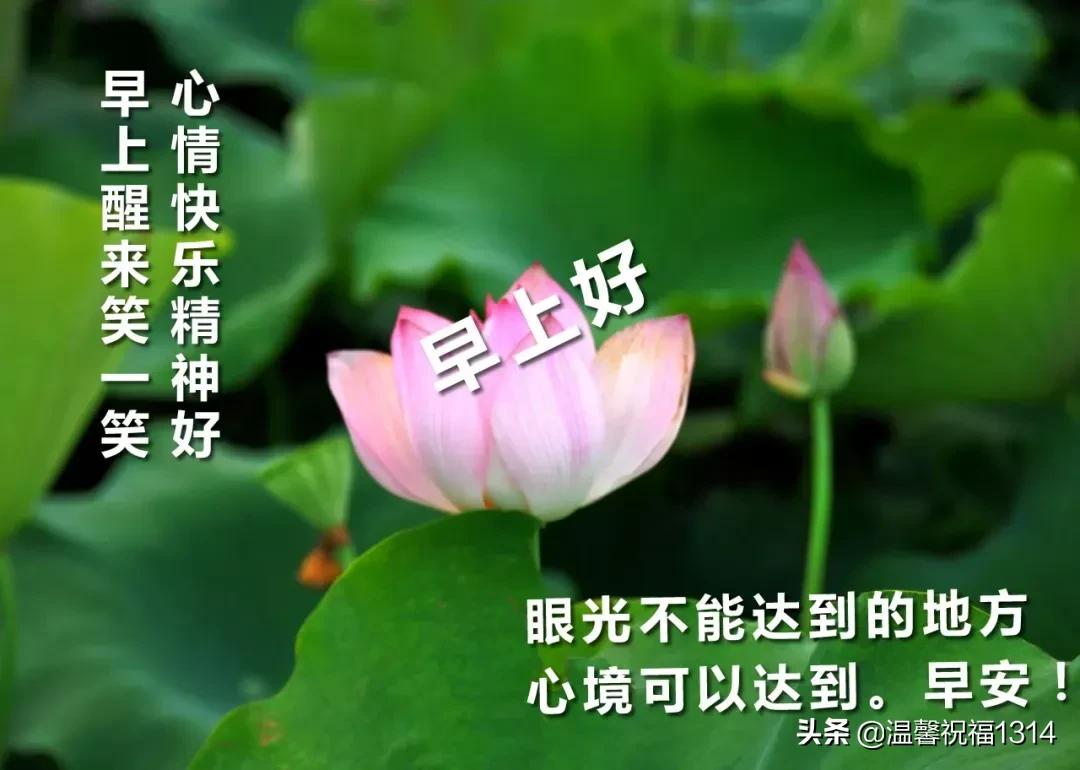 广东康唯美有限公司，健康产业的璀璨明珠