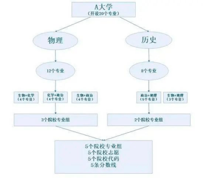 广东省考缴费财政代理，流程、意义与作用